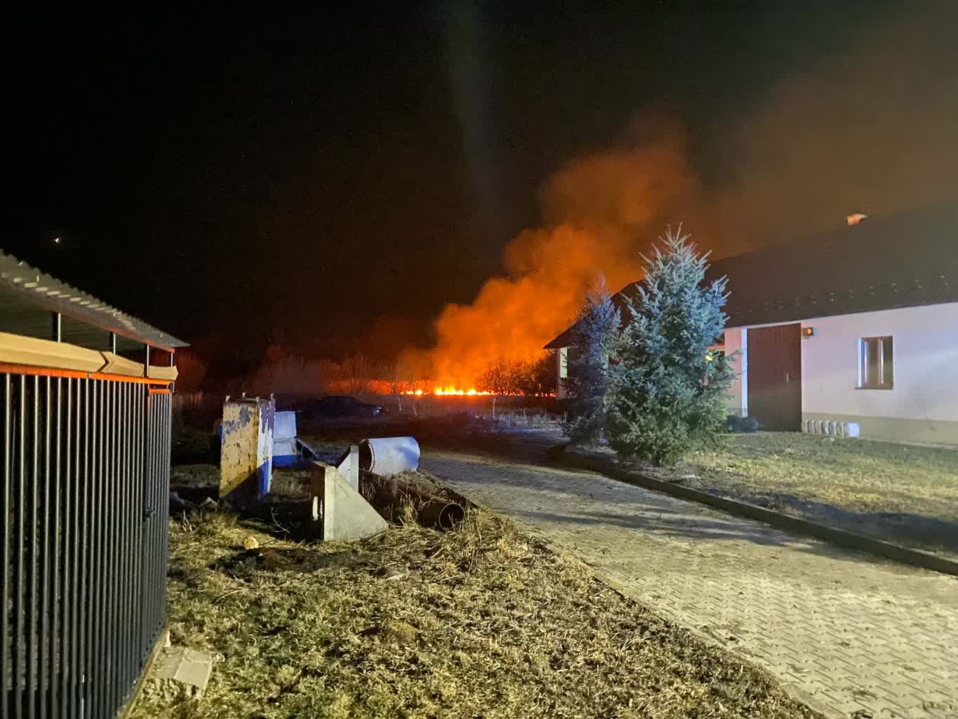 WhatsApp Image 2025-03-06 at 07.21.45(1).jpeg