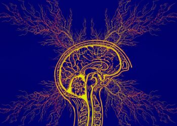 Tarnobrzeg: O ADHD w rozmowie z doktor Ewą Biernat