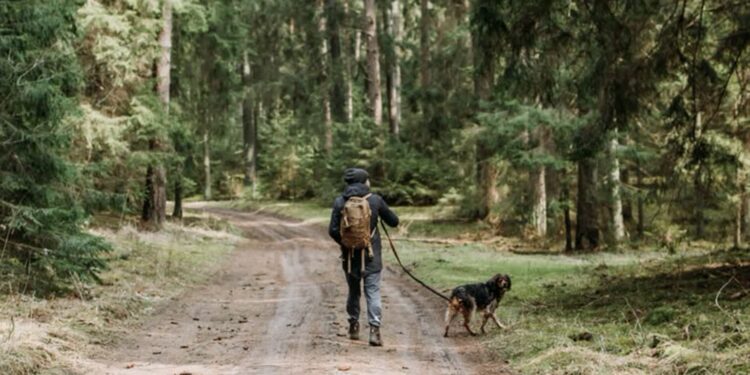 Mielec: Pies w lesie tylko na smyczy