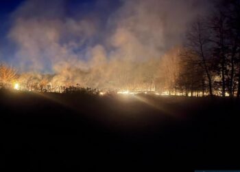 Sandomierz: Wypalanie traw jest niebezpieczne i niedozwolone – przypomina policja