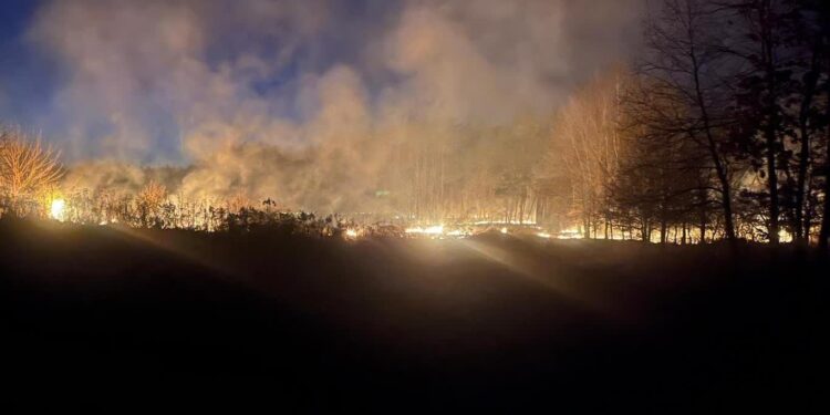 Sandomierz: Wypalanie traw jest niebezpieczne i niedozwolone – przypomina policja