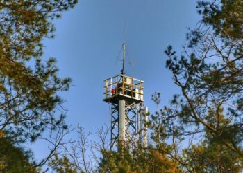 Mielec: Od marca tereny leśne są monitorowane