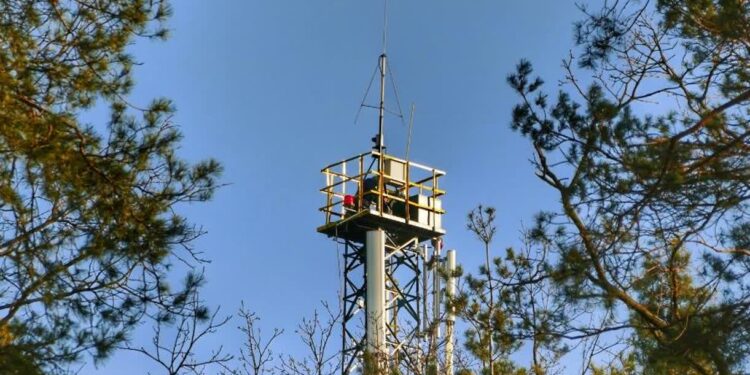Mielec: Od marca tereny leśne są monitorowane