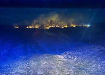 Świniary: Pięć hektarów spłonęło przed południem