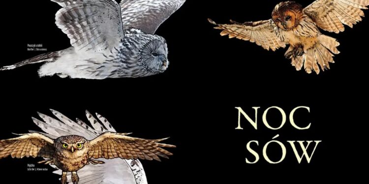 Mielec: Noc Sów 2025 – Jestem na pTAK