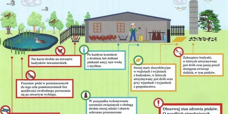 Uwaga dla hodowców drobiu – ognisko grypy ptaków w Tursku Wielkim