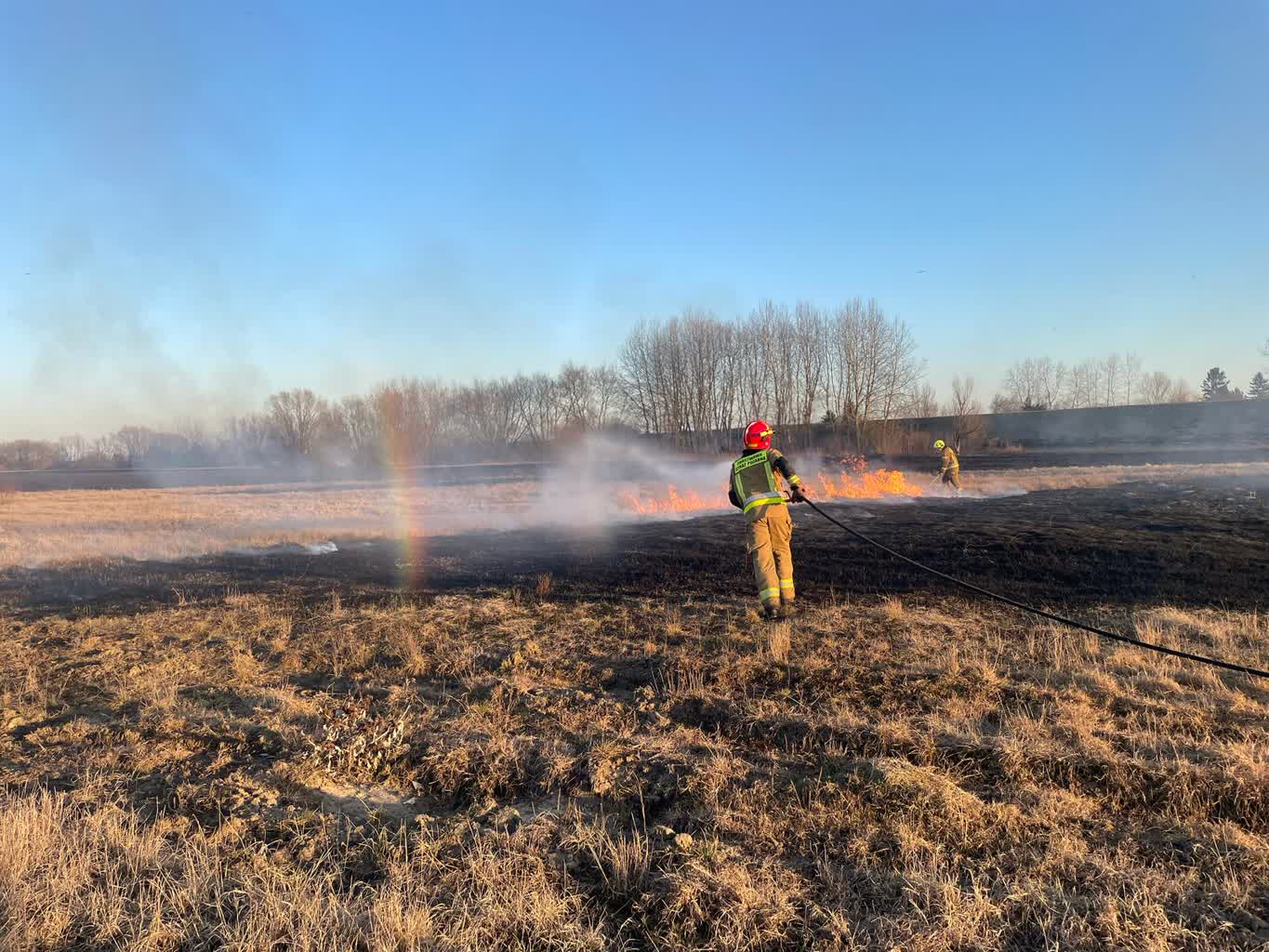 WhatsApp Image 2025-03-07 at 07.15.45.jpeg