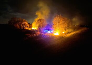 Sandomierz: Mimo deszczowej aury nadal płoną trawy