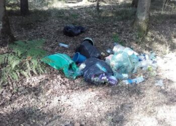 Mielec: Pozwól  innym  korzystać z lasu..