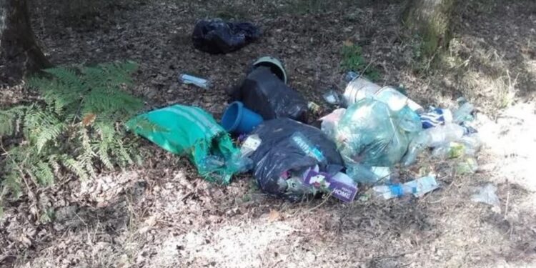 Mielec: Pozwól  innym  korzystać z lasu..