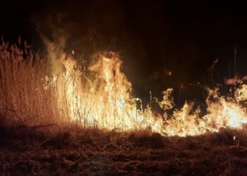 Sandomierz: Stop wypalaniu traw!