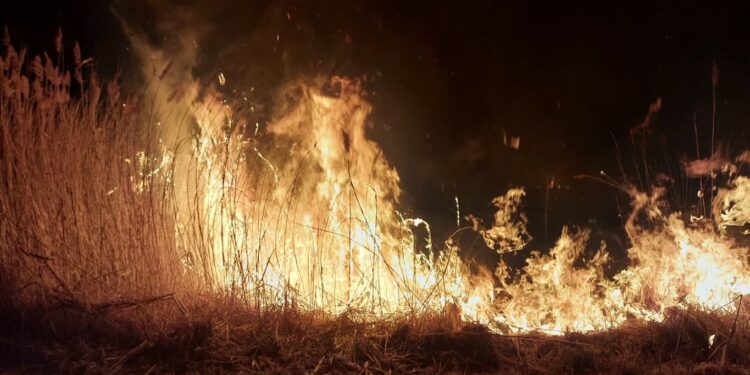 Sandomierz: Stop wypalaniu traw!