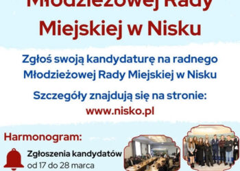 Nisko: Nabór do Młodzieżowej Rady Miejskiej