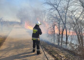 Sandomierz: Zaczęły się pożary traw