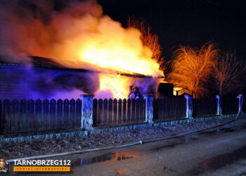 Tarnobrzeg. Pożar wiaty z drewnem