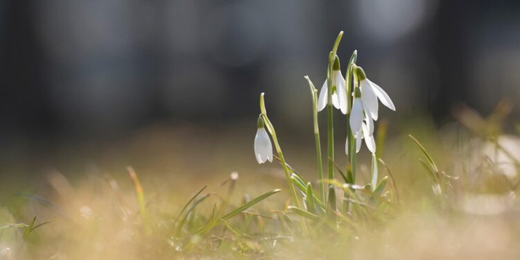 Tarnobrzeg: Szukaj wiosny z PTTK „Siarkopol”