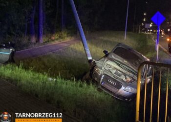 Nowa Dęba: Zasnął za kierownicą