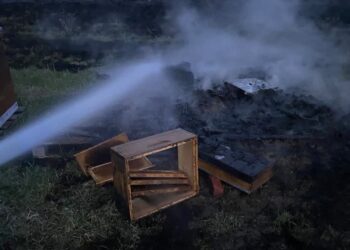 Zawichost: Podpalacze traw nie odpuszczają – ucierpiały pszczoły