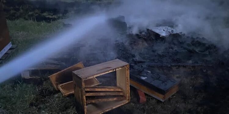 Zawichost: Podpalacze traw nie odpuszczają – ucierpiały pszczoły