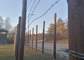 Dębica:  Kolejne ślady historii – znaleziska na terenie byłego obozu w Pustkowie