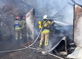 Daromin: Płonie szopa, zwierzęta uratowane