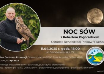 Tarnobrzeg: „Noc sów”