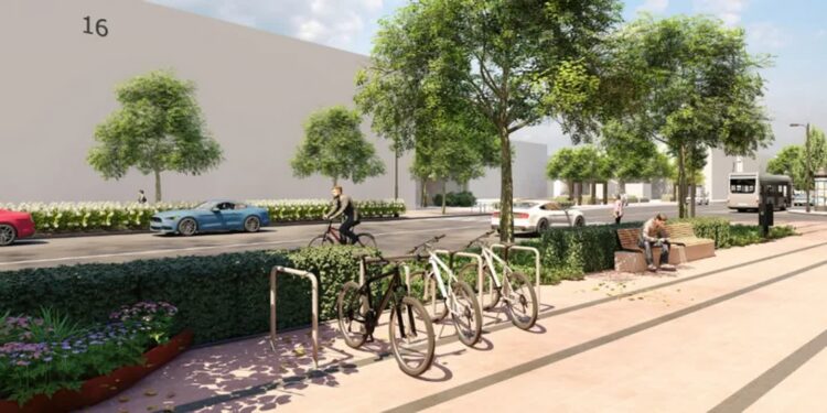 Mielec: Co z drzewostanem przy alei Niepodległości