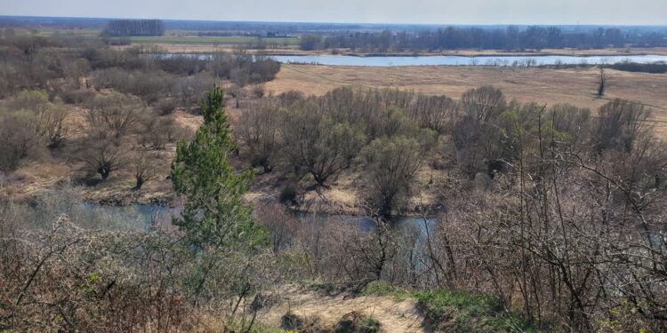 Sandomierz: O unikalnej faunie Gór Pieprzowych