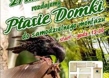 Tarnobrzeg: Rozdadzą ptasie domki do samodzielnego montażu