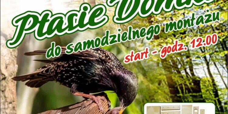 Tarnobrzeg: Rozdadzą ptasie domki do samodzielnego montażu