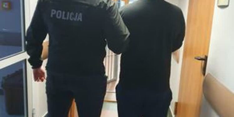 Staszów: Zniszczył 9 samochodów