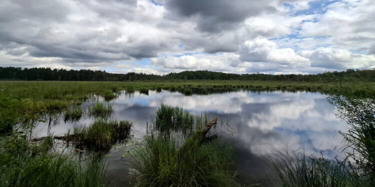 Zaklików: Dolina Jodłówki – to kolejny rezerwat przyrody na terenie gminy