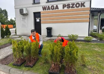 Sandomierz: Wielkie sprzątanie miasta (FOTO)