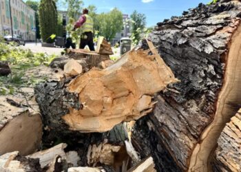 Mielec: W trosce o bezpieczeństwo mieszkańców