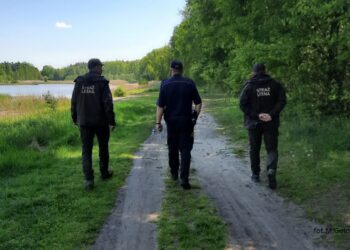 Mielec: Patrole Straży Leśnej, Policji, Straży Miejskiej