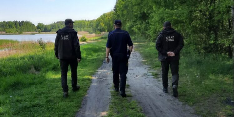 Mielec: Patrole Straży Leśnej, Policji, Straży Miejskiej