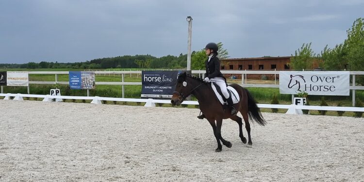 Grębów. Za nami IV Wydrzańskie Spotkania Jeździeckie