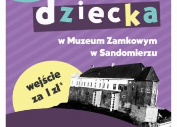 Sandomierz: Poszukaj pluszaka na Dzień Dziecka