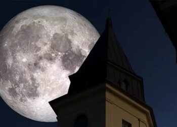 Tarnobrzeg: Wieczór z historią i sztuką w Zamku Tarnowskich