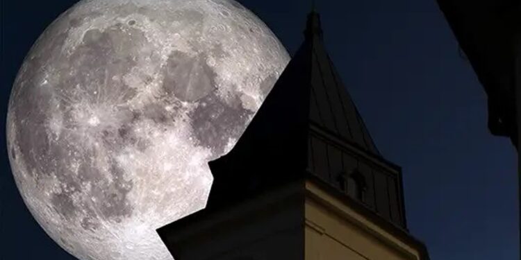 Tarnobrzeg: Wieczór z historią i sztuką w Zamku Tarnowskich