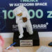 Stalowa Wola: Za nami SPACESHIELD Hack
