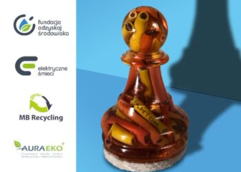 Tarnobrzeg: Zagraj w szachy, ucz się o recyklingu – Dzień Dziecka nad jeziorem