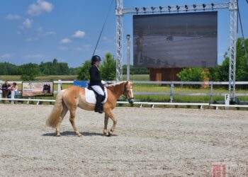 Grębów. W sobotę IV Wydrzańskie Spotkania Jeździeckie
