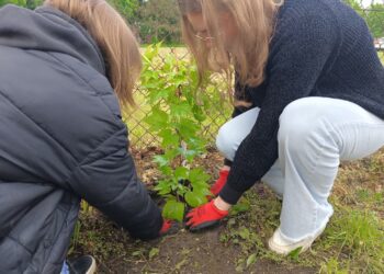 Tarnobrzeg: Ekologicznie w „Rolniku”