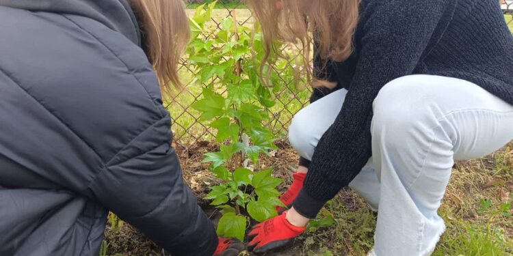 Tarnobrzeg: Ekologicznie w „Rolniku”