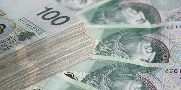 Stalowa Wola: Zatrzymani za włamanie i kradzież 170 tysięcy złotych