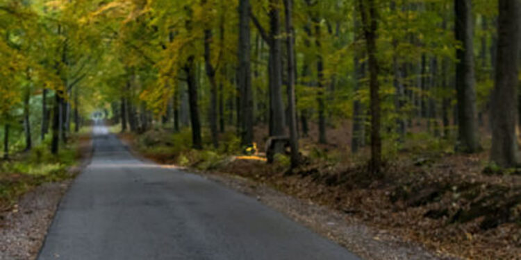 Rzeczyca Długa: Jeszcze w maju  ruszy rozbudowa drogi powiatowej 1020R