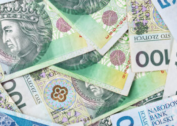 Mielec: Seniorka z Mielca straciła ponad 120 tys. złotych