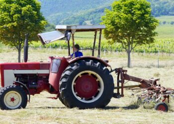 Opatów: Lawina problemów nietrzeźwego sadownika