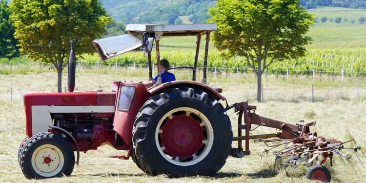Opatów: Lawina problemów nietrzeźwego sadownika